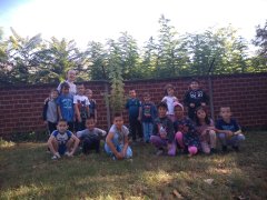 IMG_20230920_092914698.jpg IMG_20230920_092914698.jpg